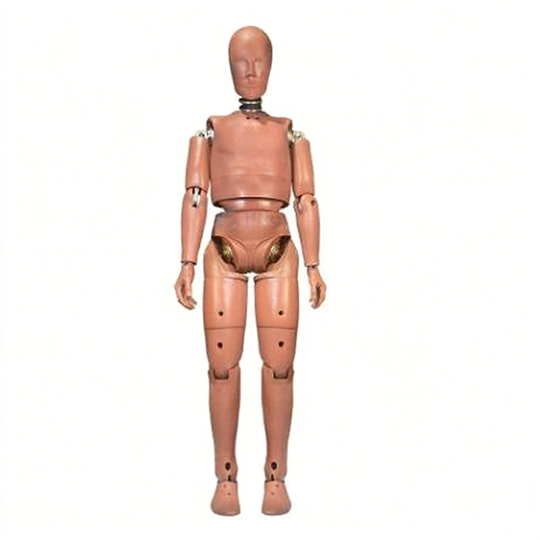 50th Percentile Male Crash Test Dummy (Sta
